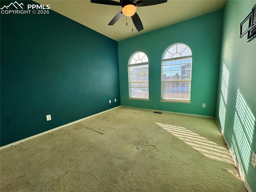 Image 24 of 50: Other