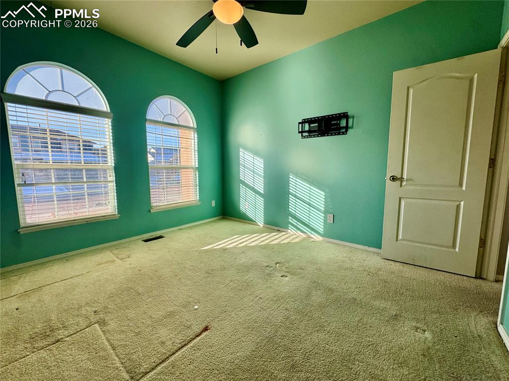 Image 25 of 50: Other