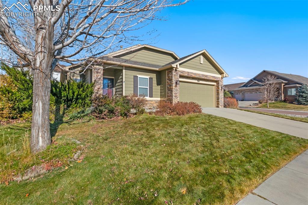 Caption: Front of Structure