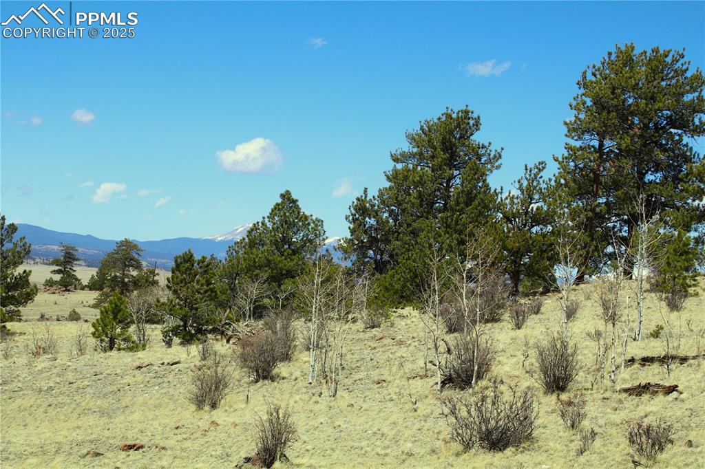 Image 2 of 4: Mountain view