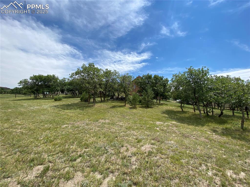 Image 10 of 48: That backs up to the Woodmoor open space