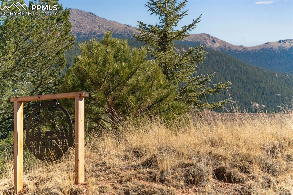 Image 24 of 34: Mountain view featuring a forest