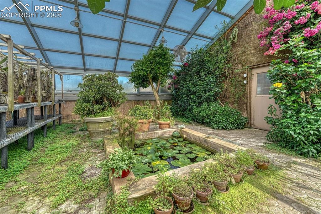 Image 23 of 50: Yard