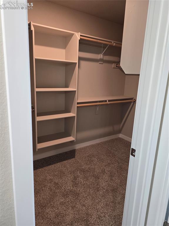 Image 9 of 15: Walk in closet with dark carpet