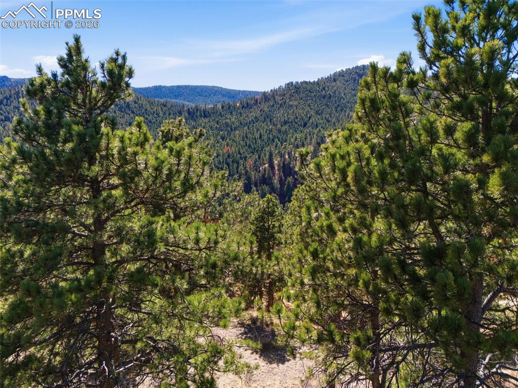 Image 16 of 44: View
