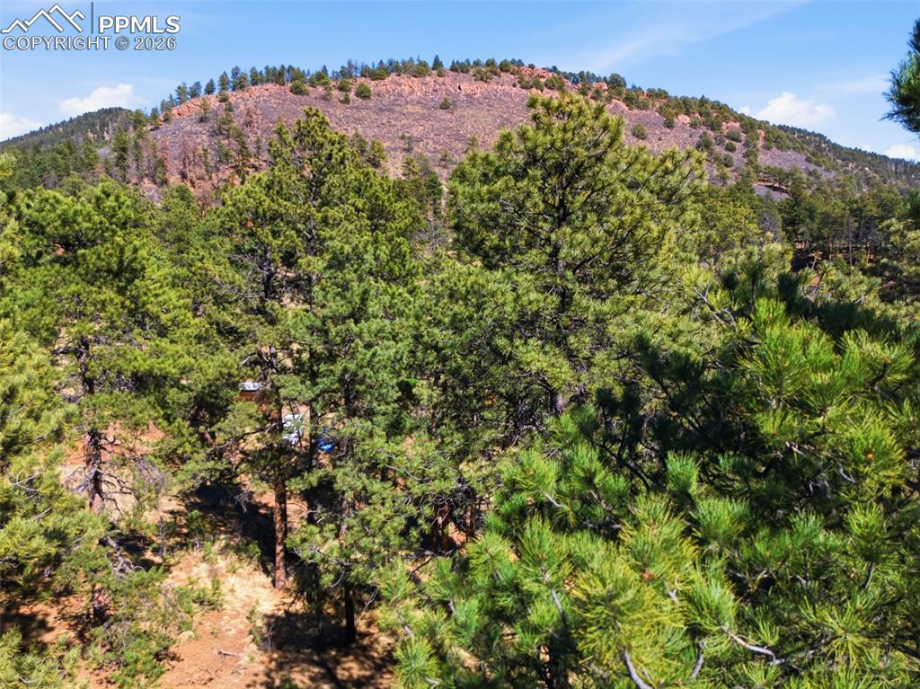 Image 18 of 44: Build Site.