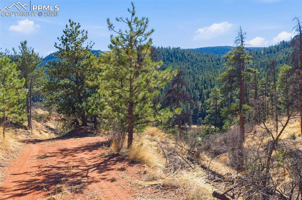 Image 23 of 44: Entrance off of Hwy 24