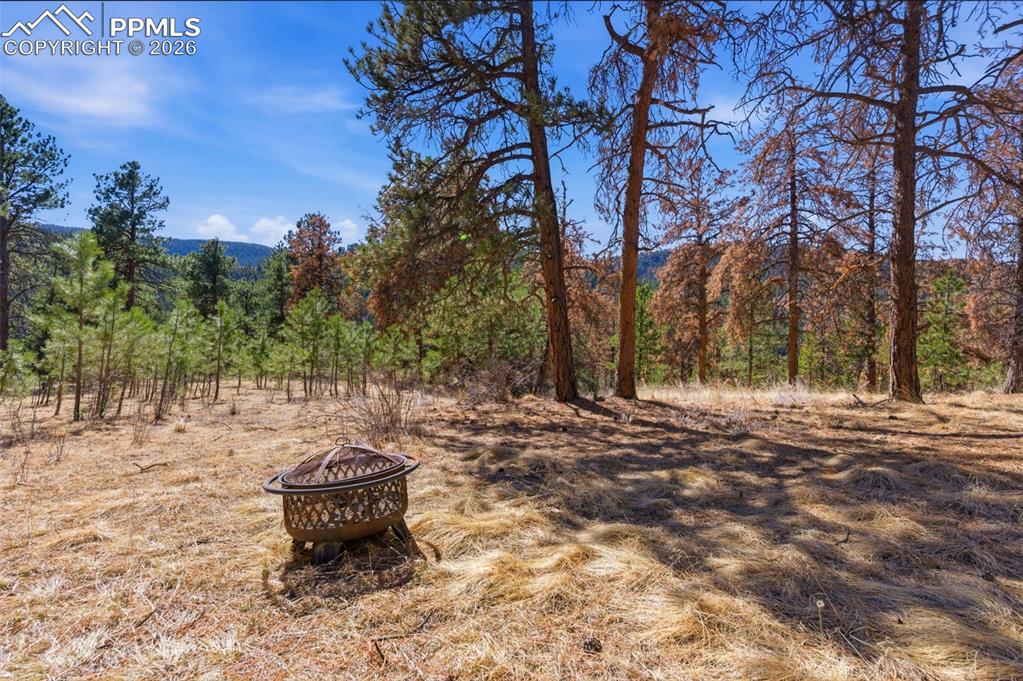 Image 32 of 44: Easement off of Packard. Not public property. Approval needed to use.