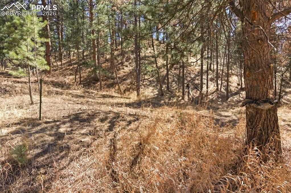 Image 41 of 44: Easement off of Packard. Not public property. Approval needed to use.