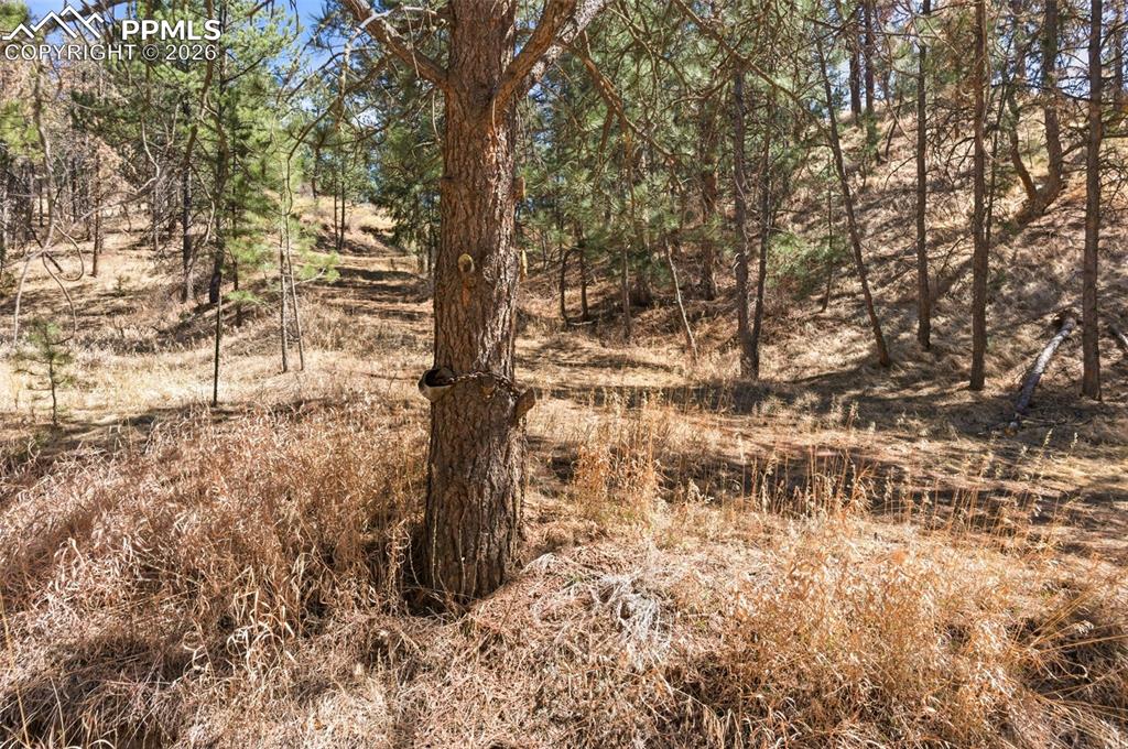 Image 42 of 44: Easement off of Packard. Not public property. Approval needed to use.