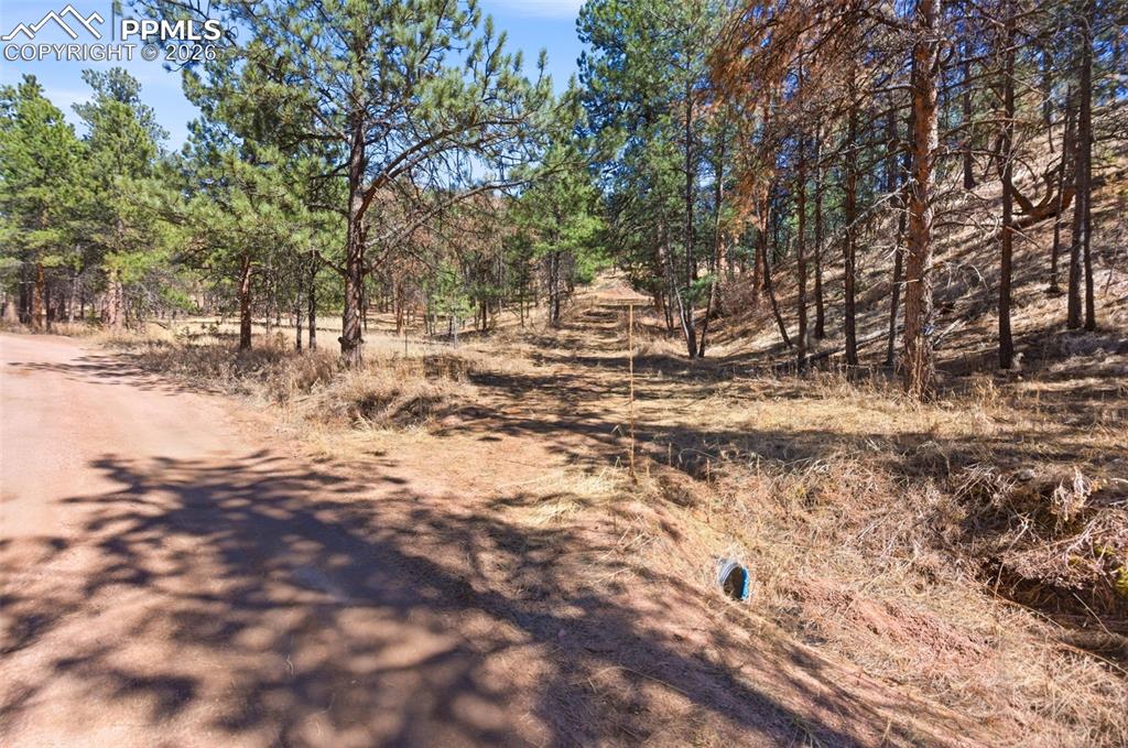 Image 43 of 44: Easement off of Packard. Not public property. Approval needed to use.