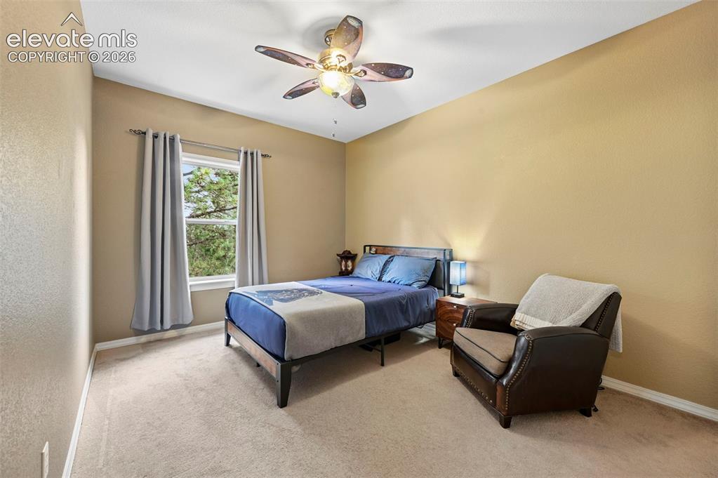 Image 20 of 43: Bright secondary bedroom with soft yellow walls, carpeted flooring, and abu