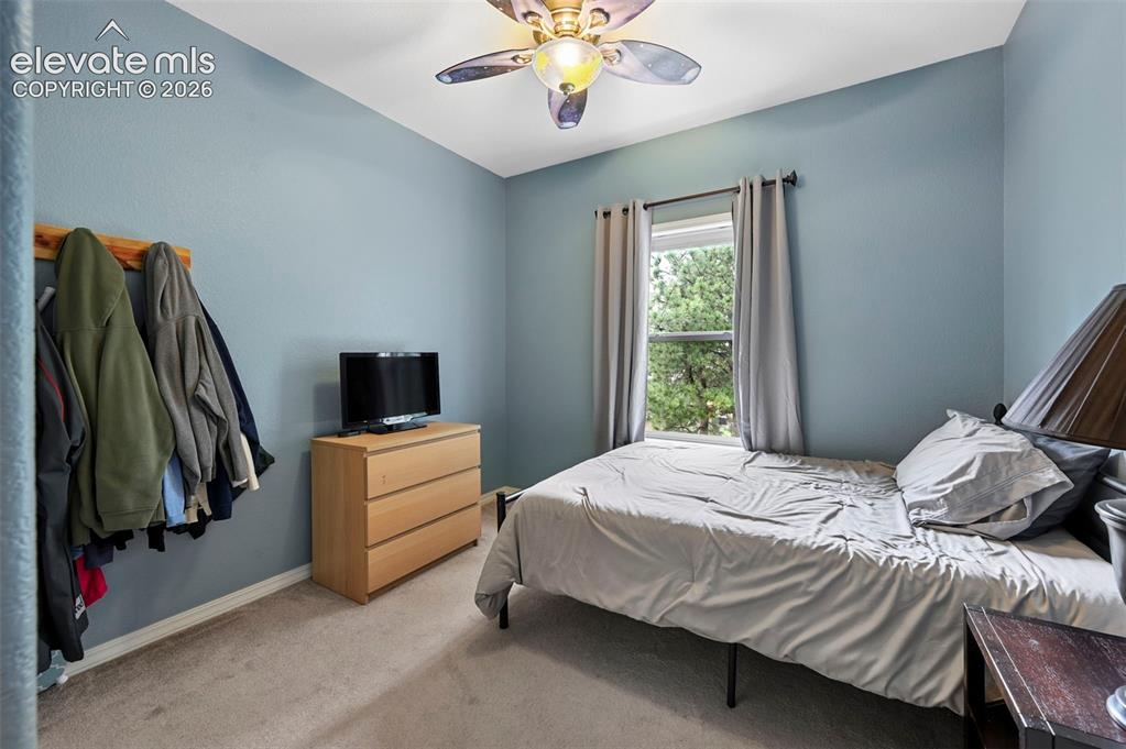 Image 22 of 43: Carpeted room with a ceiling fan, a window, and light blue walls