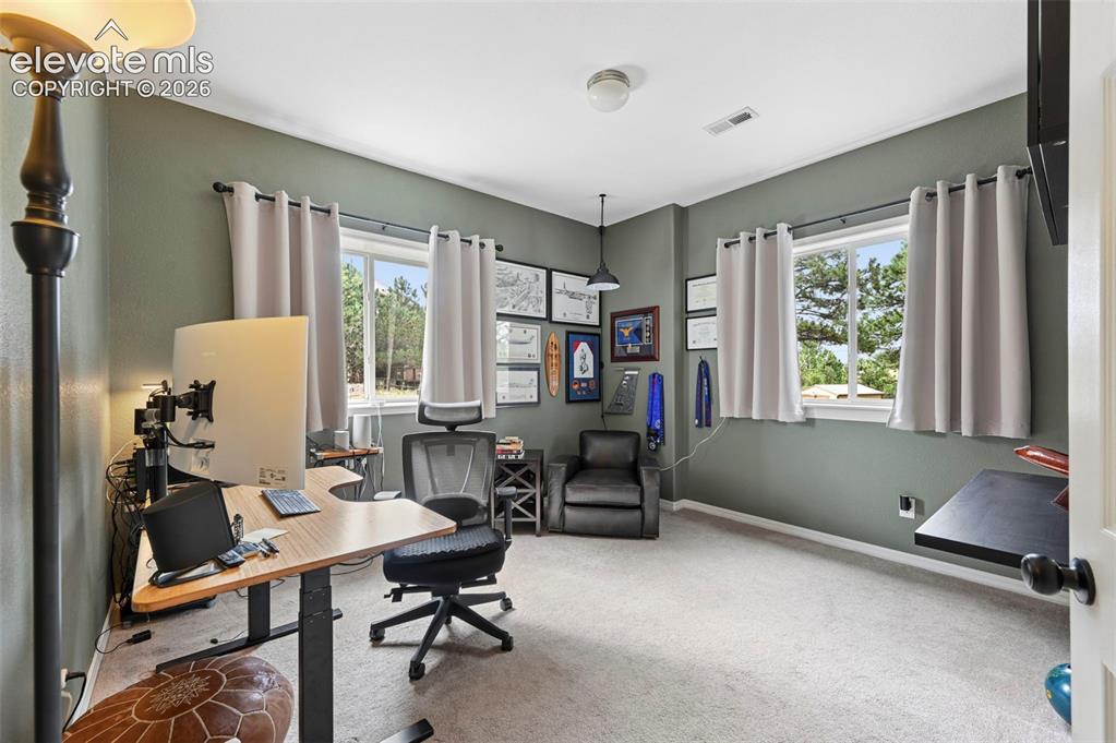 Image 24 of 43: Light grey carpeting, two large windows, a ceiling-mounted light fixture, a