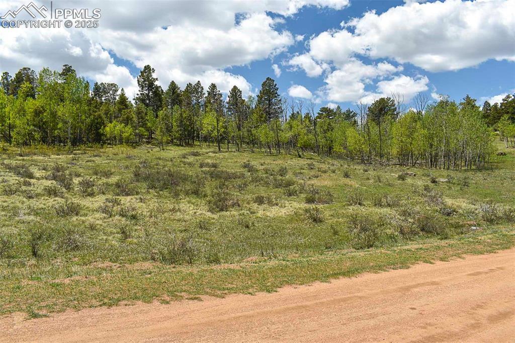 Image 17 of 22: Other