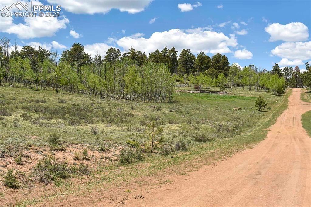 Image 19 of 22: Community