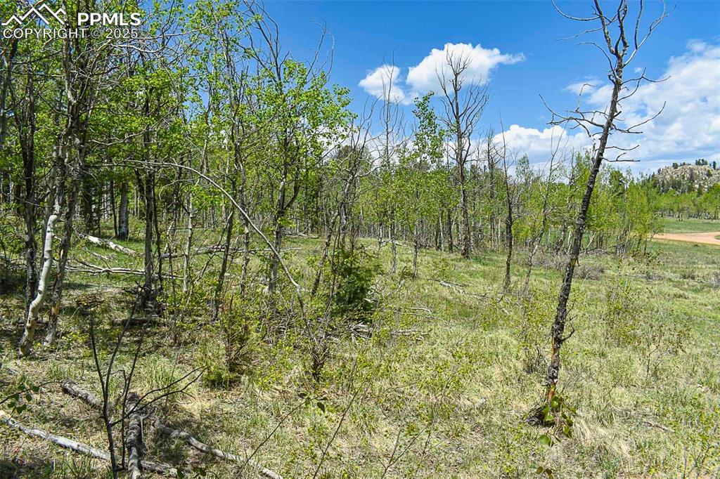 Image 6 of 22: Other