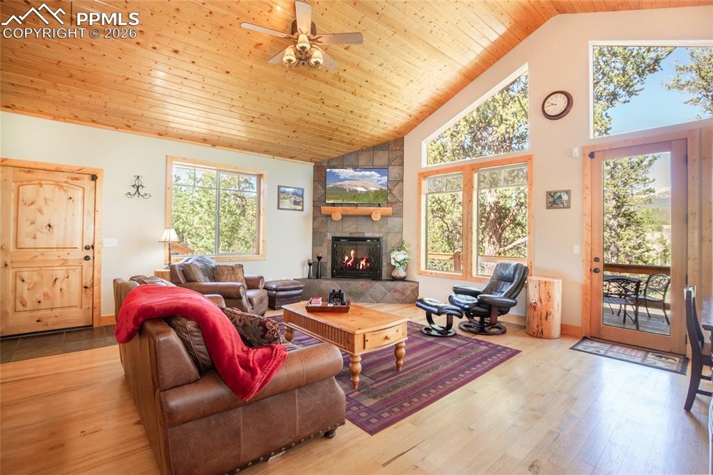 Image 11 of 50: Neighborhood View