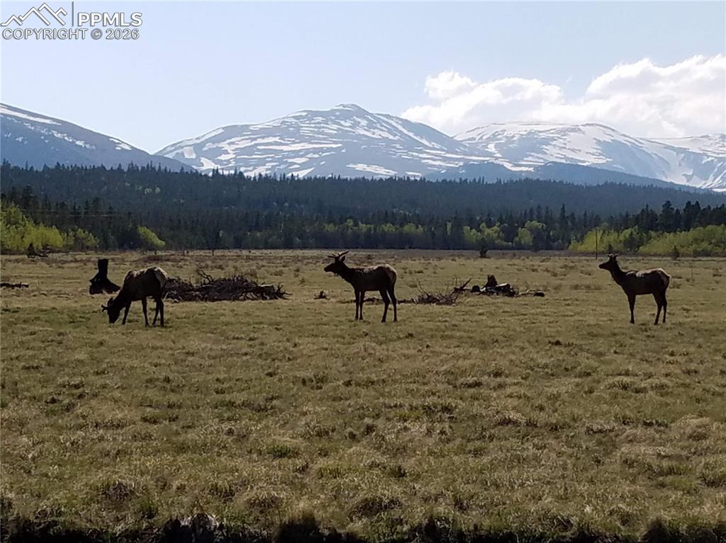 Image 28 of 50: Master Bedroom