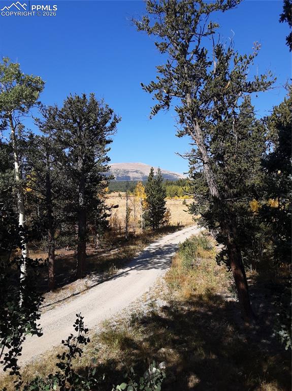 Image 7 of 50: Side of Structure