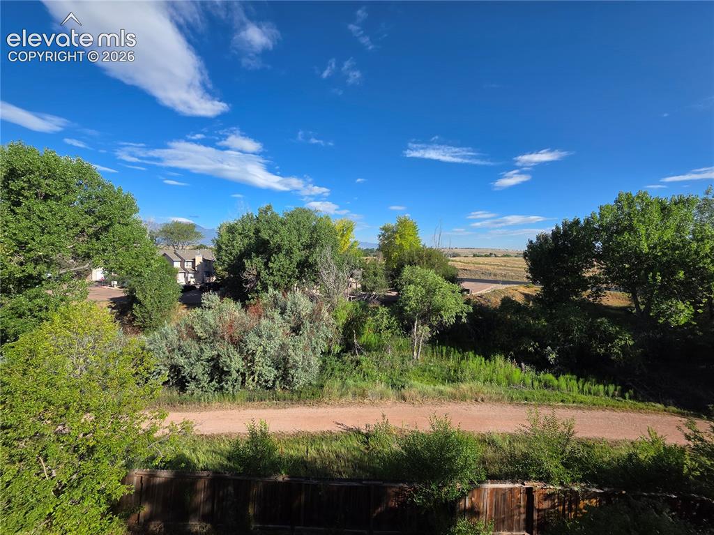 Image 35 of 41: Seller Provided Photo of View of Tree Lined Walking Trail Behind Home