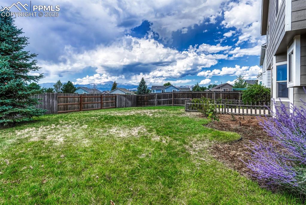Image 41 of 50: Yard with a view!