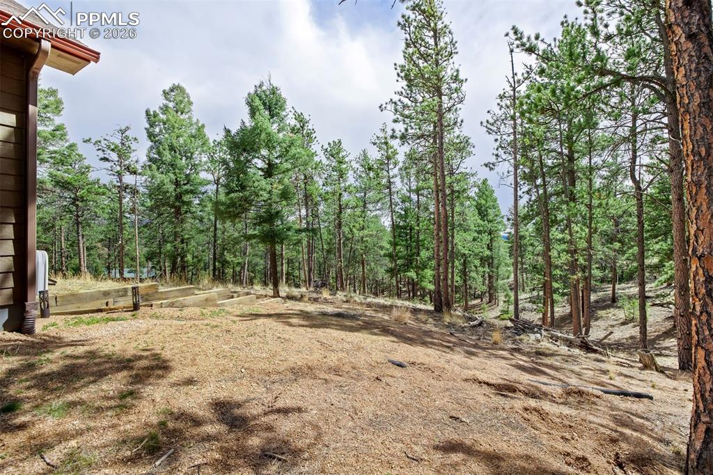 Image 41 of 50: Yard