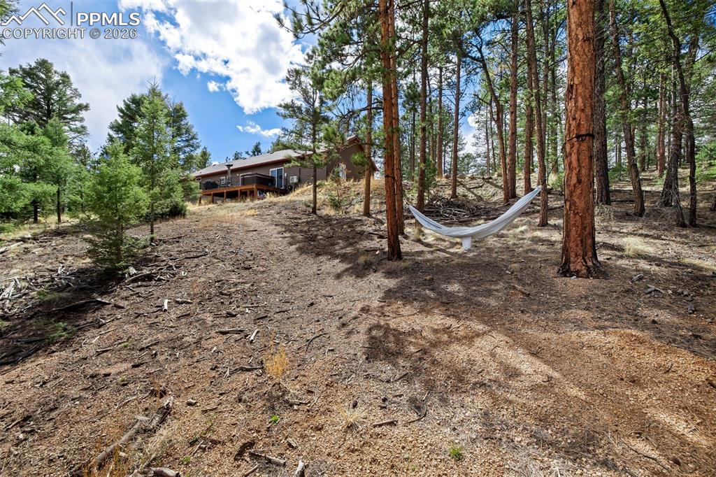 Image 44 of 50: Yard