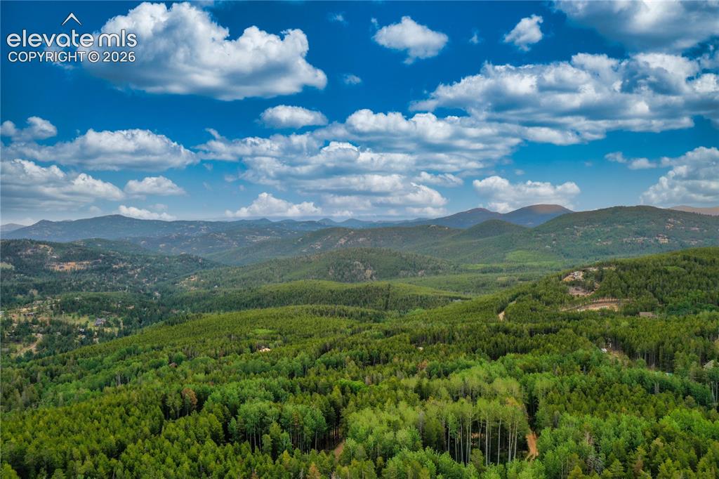 Image 46 of 50: View