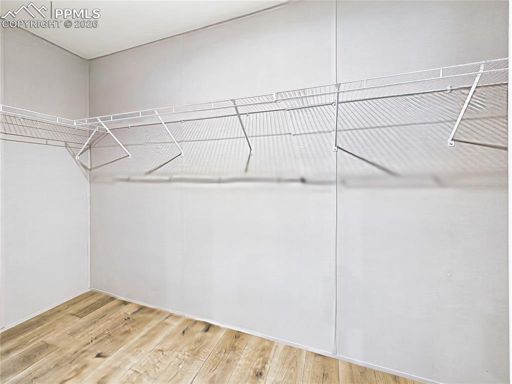 Image 33 of 50: Walk-In Closet (Extended View) – Spacious walk-in closet with wraparound wi