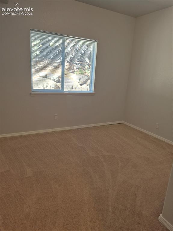 Image 10 of 24: Other