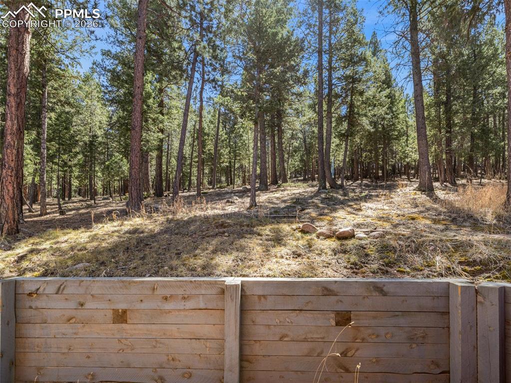 Image 29 of 37: View of yard