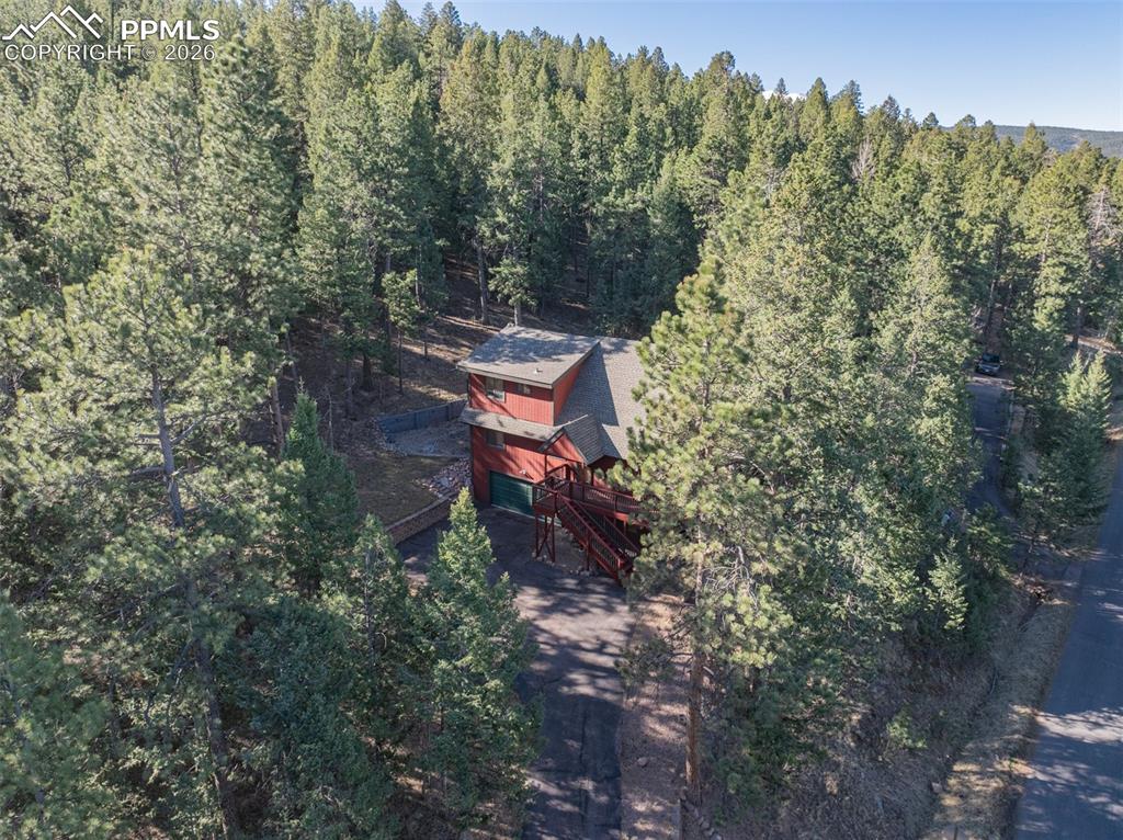 Image 32 of 38: Aerial view of a forest