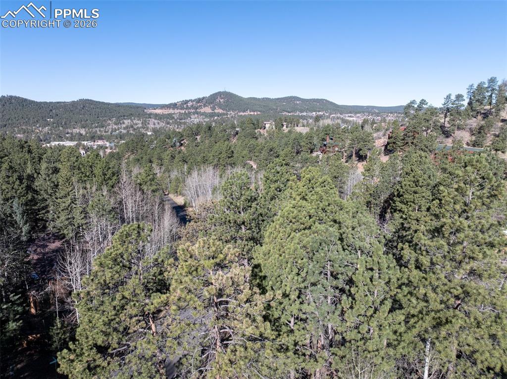 Image 34 of 38: View of mountain background featuring a forest