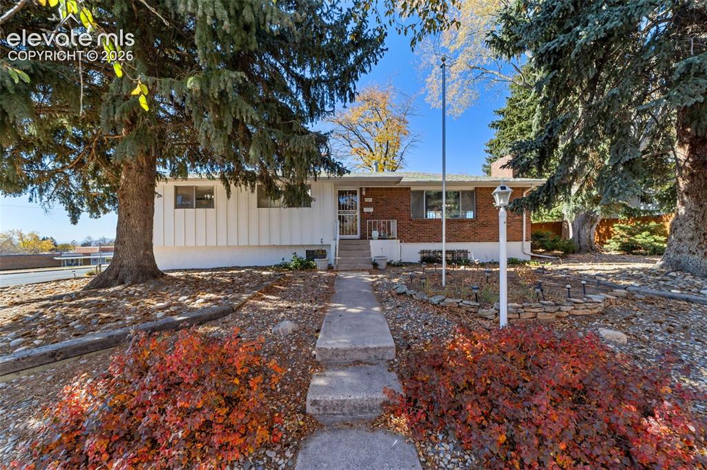 Image 1 of 50: Split-level residence featuring a concrete walkway, mature evergreen trees,