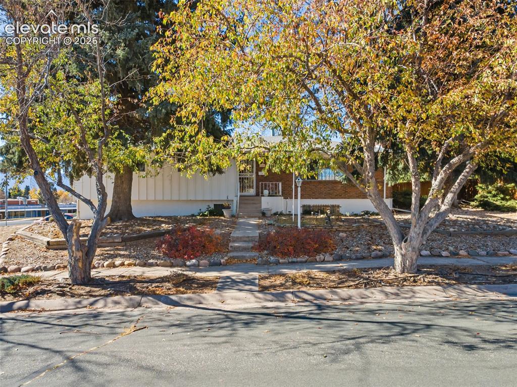 Image 50 of 50: Front exterior featuring a stone walkway, mature deciduous trees, and a bri