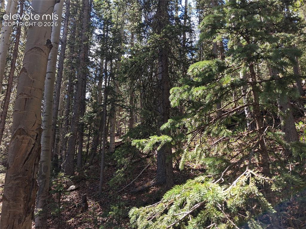 Image 5 of 6: Other