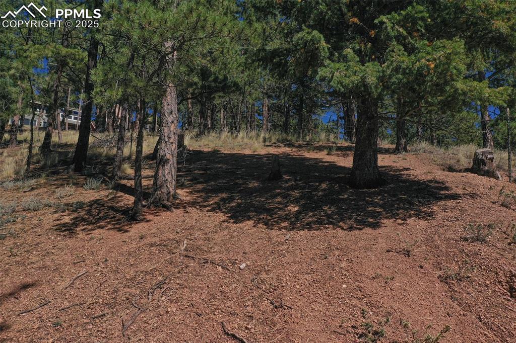 Image 29 of 33: Backyard 