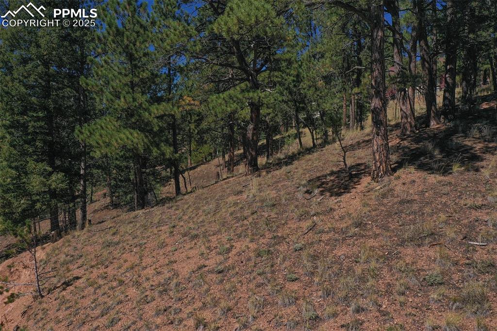 Image 30 of 33: Other