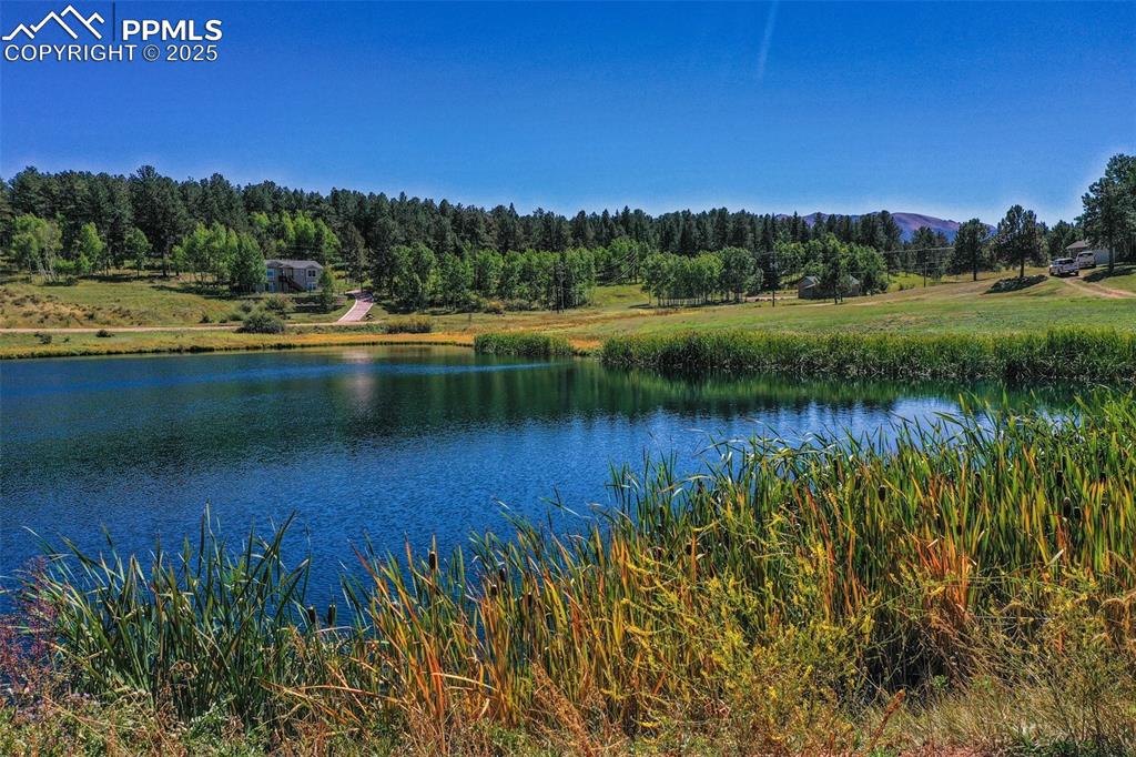 Image 32 of 33: Neighborhood Pond 