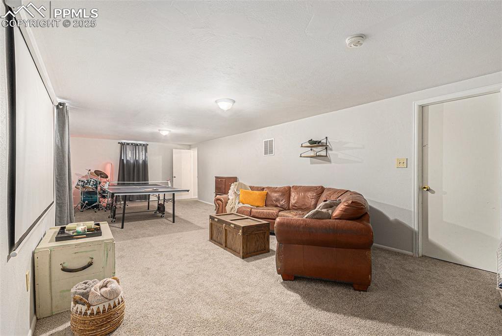 Image 15 of 28: Basement living room with newer carpet