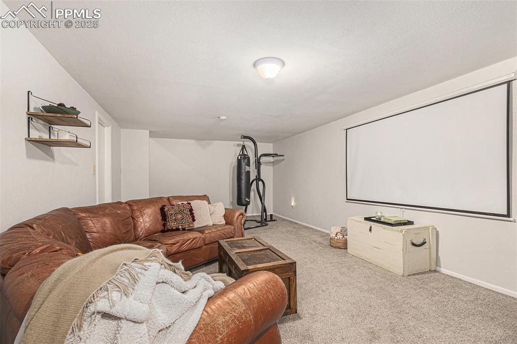 Image 16 of 28: Basement living room with newer carpet