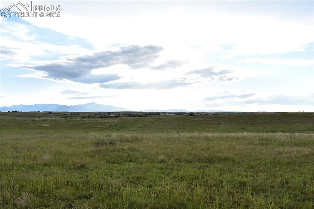 Image 6 of 11: View