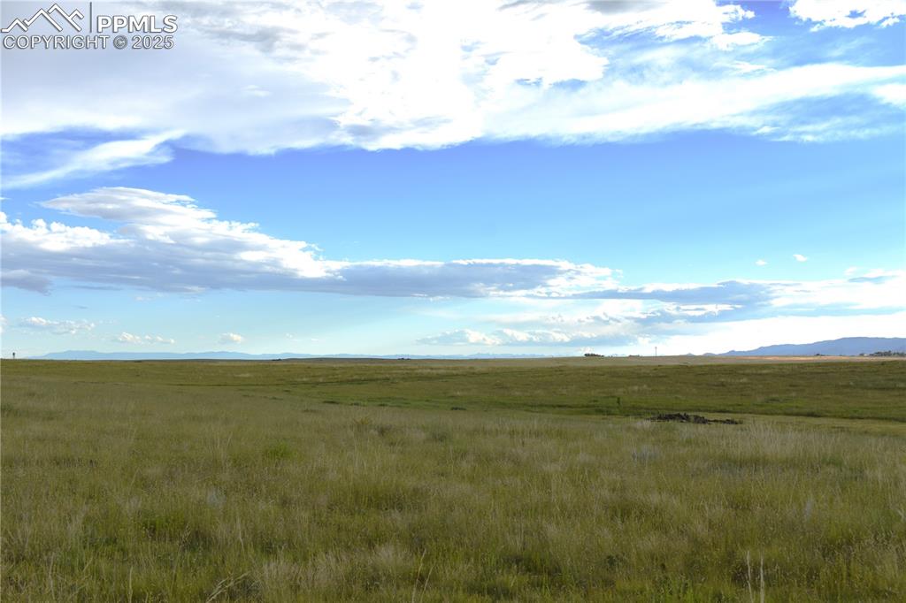 Image 8 of 11: Other