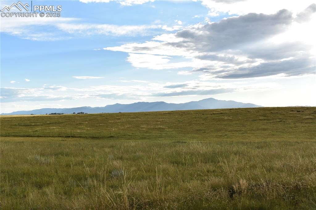 Image 9 of 11: View