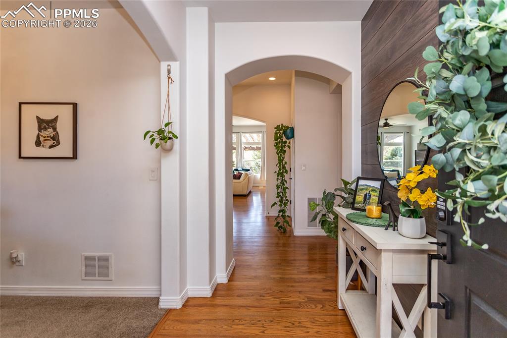 Image 3 of 35: Great Entry