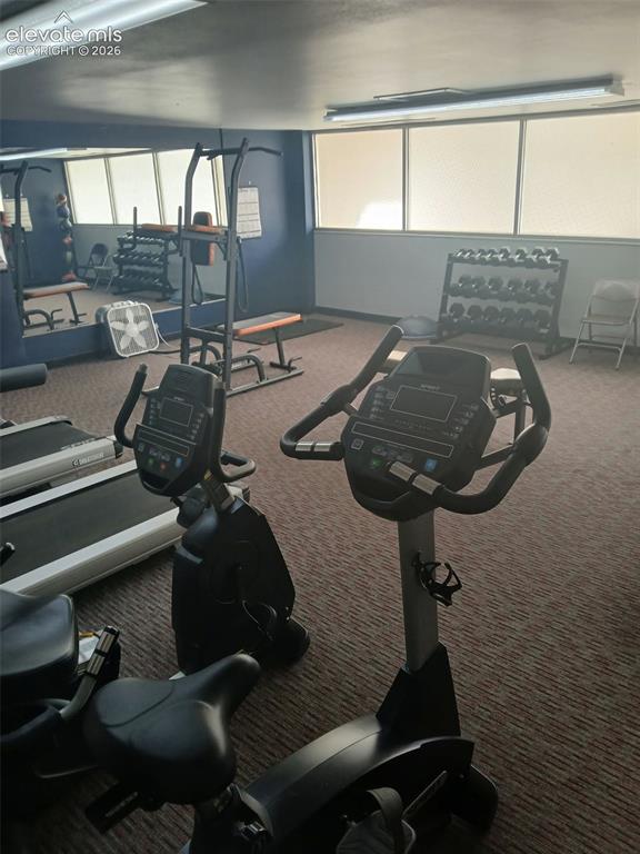 Image 36 of 39: Gym