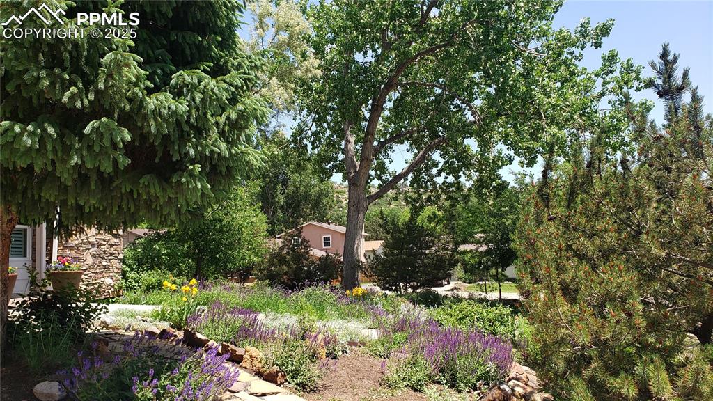 Image 33 of 49: Beautiful French Country landscaping with abundant flowers and mature shrub