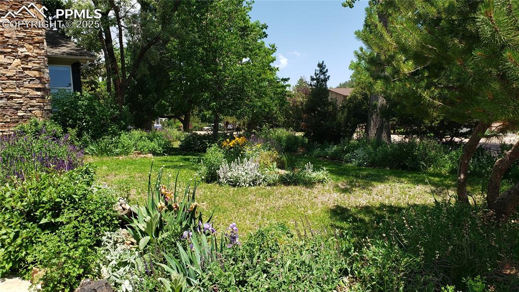 Image 34 of 49: Lush landscaping filled with beautful flowering plants.