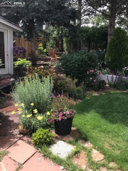 Image 47 of 49: Yard